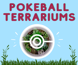 POKEBALL TERRARIUMS POKEBALL TERRARIUMS
